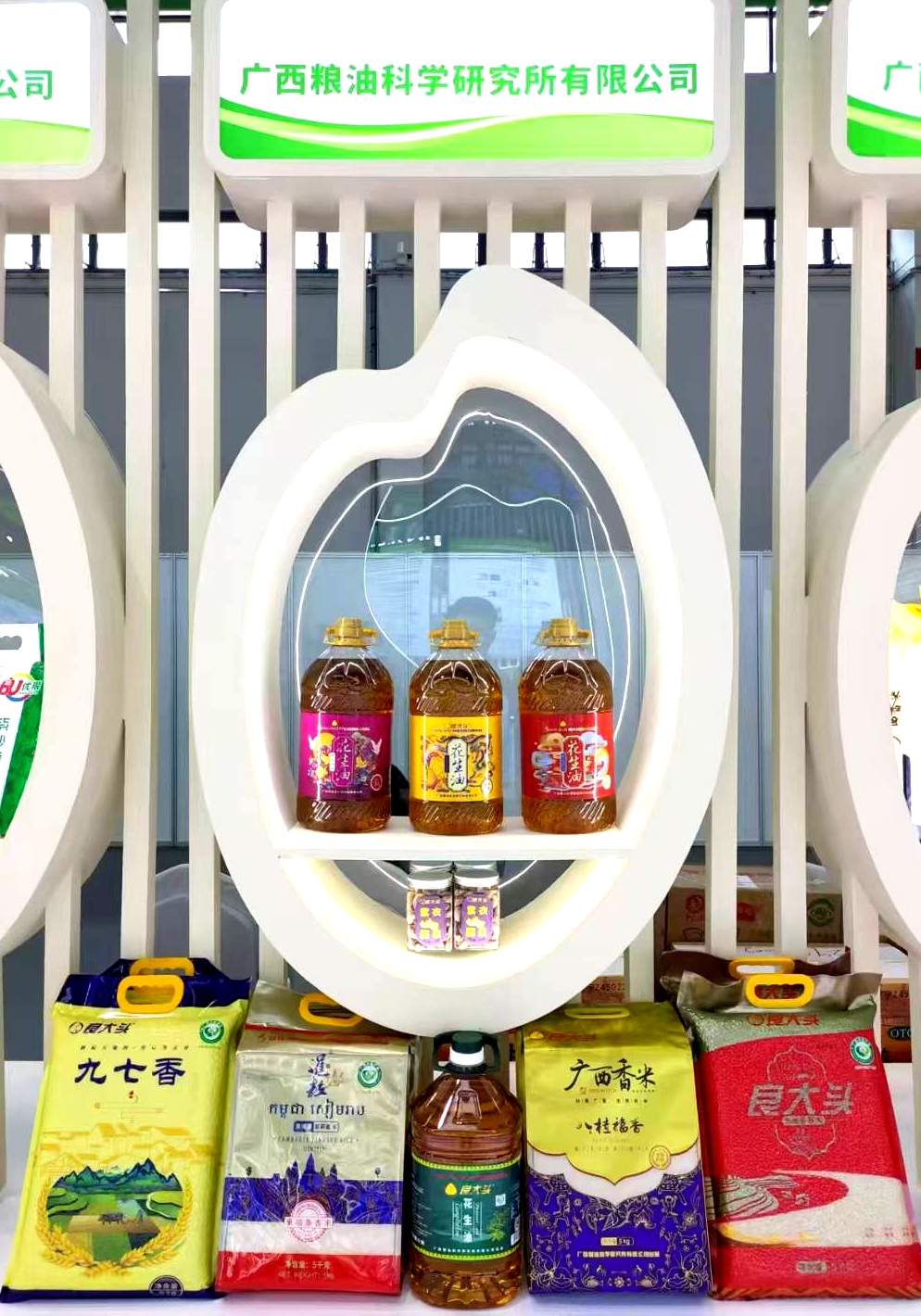 【书记领办】党建引领聚合力，实干攻坚促发展